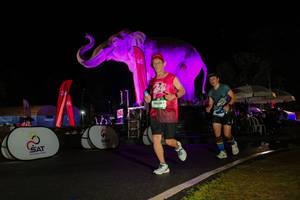 BIB: 
                            <button type="button" onclick="openModal(26543941)" class="btn btn-primary btn-sm float-right btn-popup" data-toggle="modal" data-target=".modal-high-quality">
                        <i class="fas fa-shopping-cart"></i> Add to Cart
                    </button>
                                            <button type="button" onclick="isThisMe(26543941, true)" class="btn btn-success btn-sm float-right btn-popup btn-isme hidden" data-toggle="tooltip" data-placement="bottom" title="นี่คือรูปของคุณใช่ไหม คลิกที่นี่เพื่อเอาเข้าอัลบั้ม">
                        <i class="fas fa-plus"></i> Add to album
                    </button>
                    <button type="button" onclick="isThisMe(26543941, false)" class="btn btn-warning btn-sm float-right btn-popup btn-isnotme hidden">
                        <i class="fas fa-ban"></i> Remove from album
                    </button>